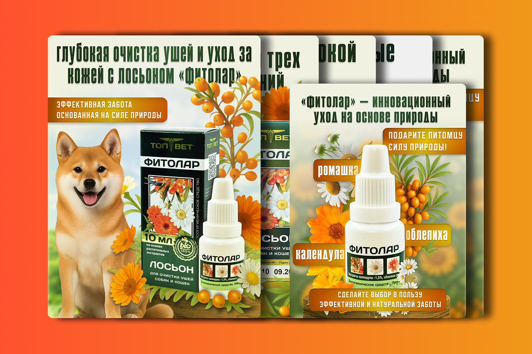 Инфографика для ветеринарного лосьона «Фитолар» — визуальный бренд-пакет из 5 слайдов для компании «ТопВет»