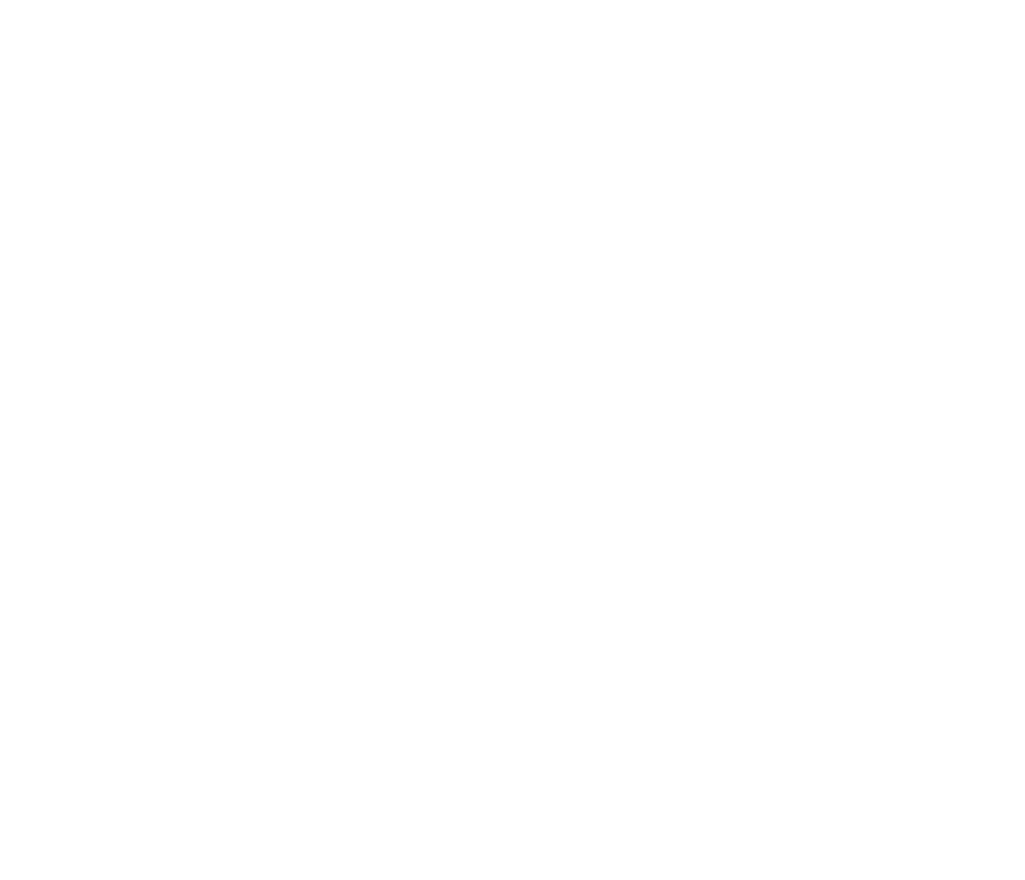 Логотип Vector белый.png