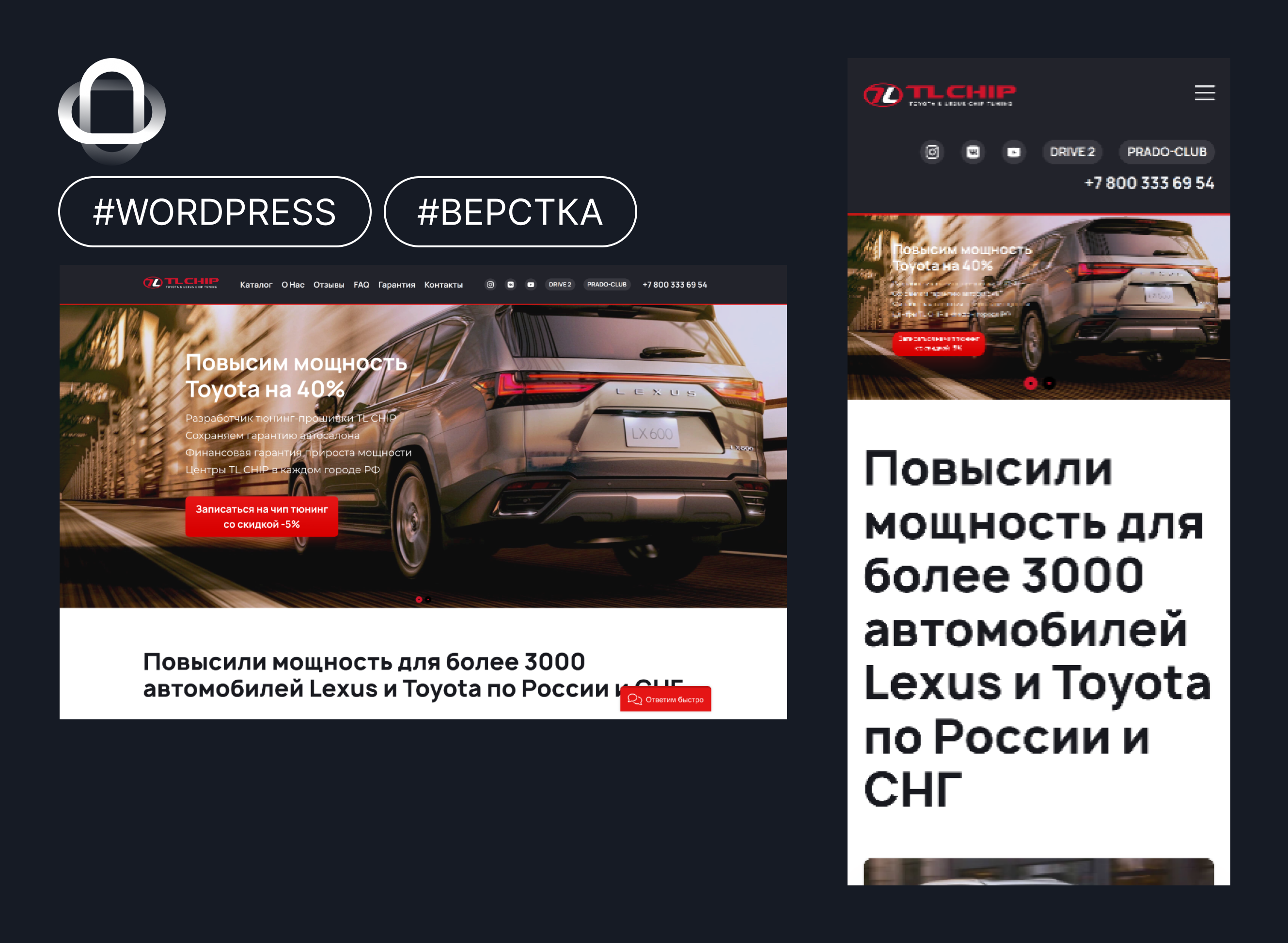 TL CHIP — Разработка кастомной темы на WordPress с Sage