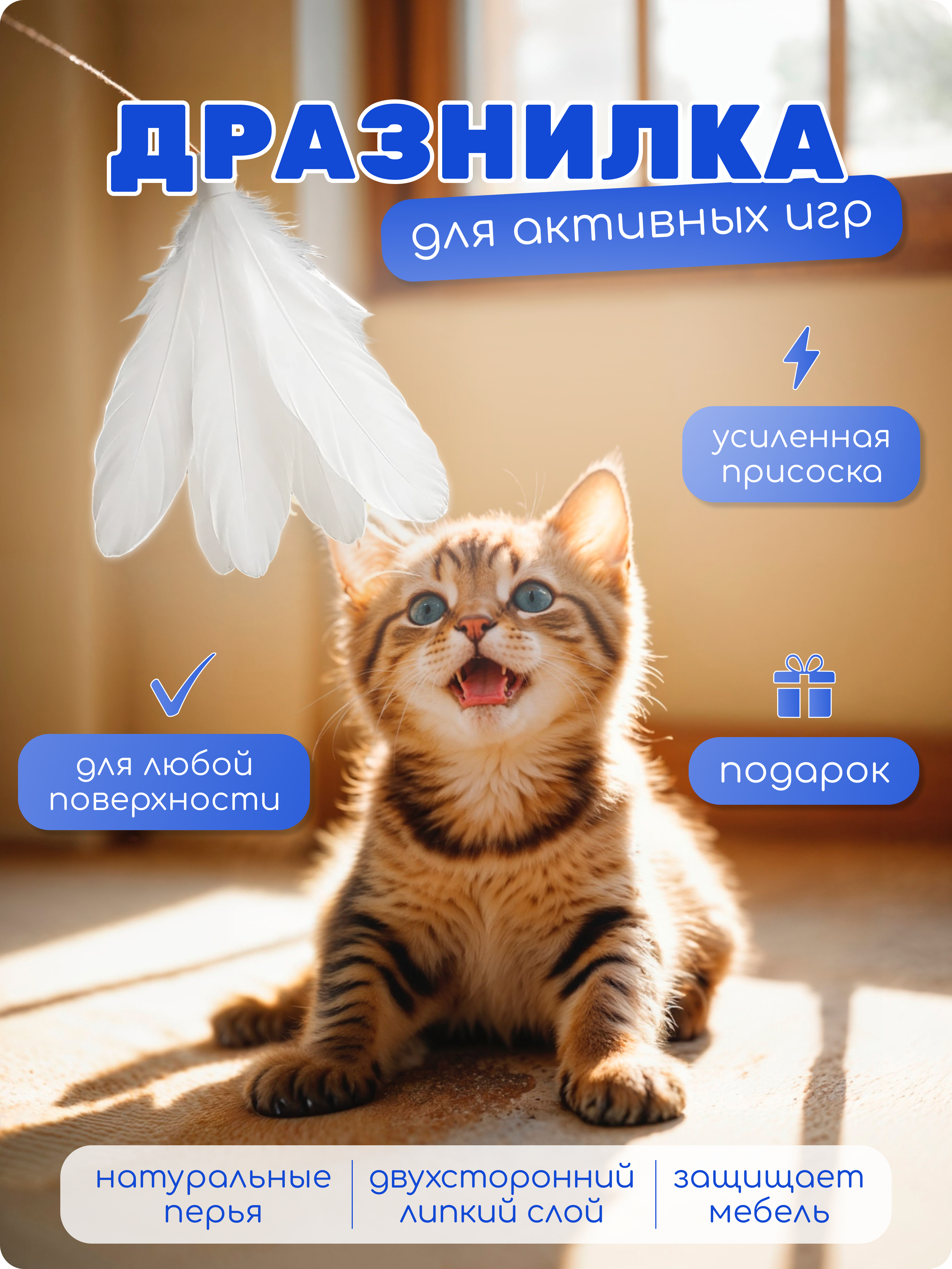 Дразнилка.jpg