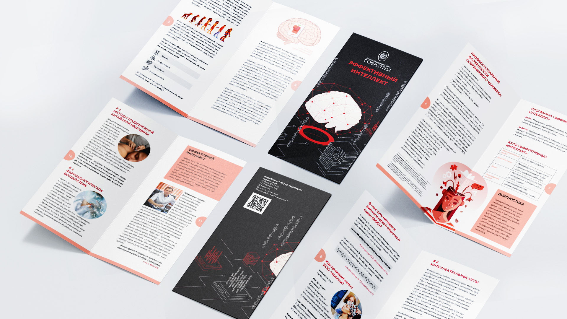 Брошора интелект софиатрия.jpg