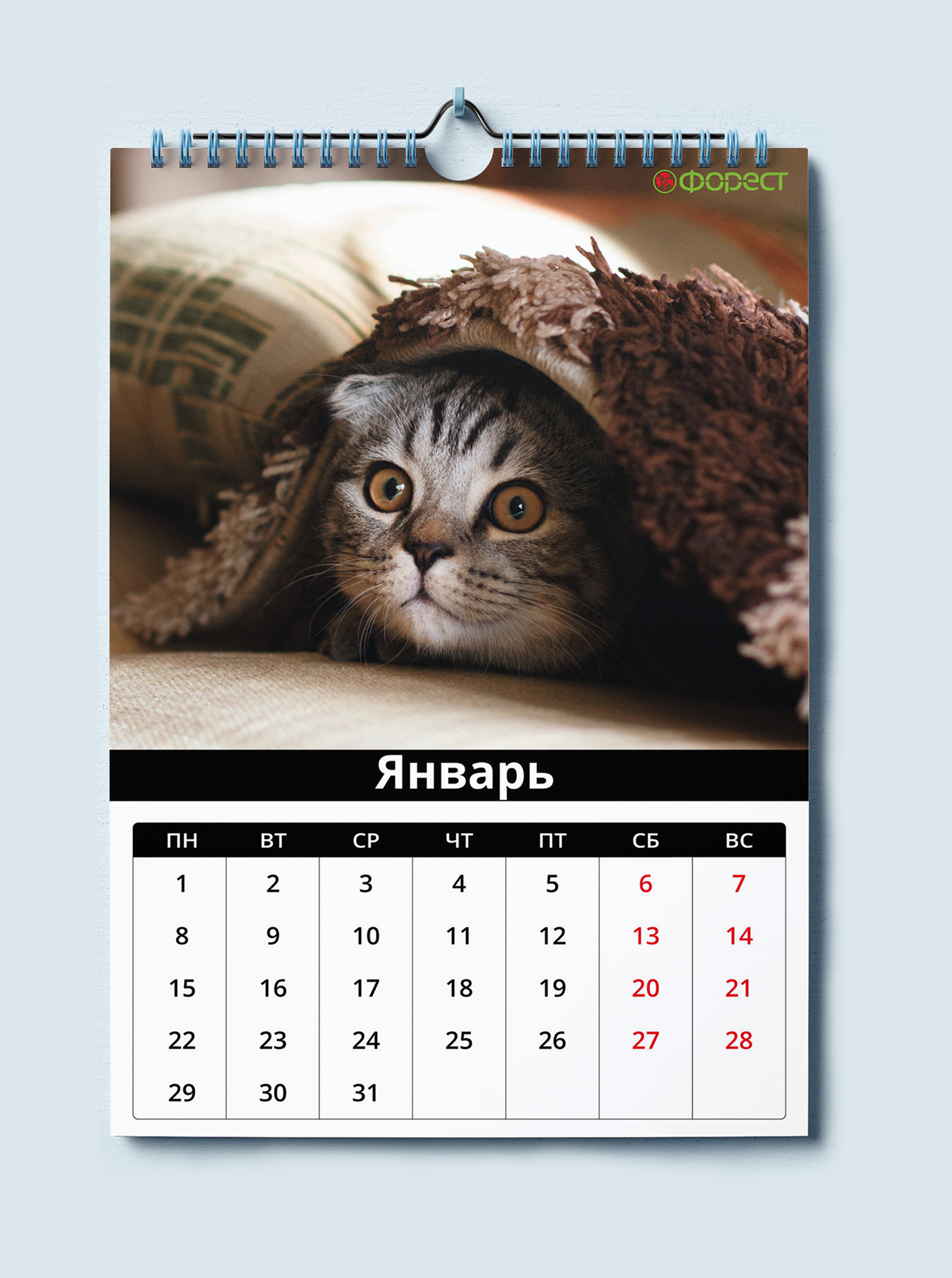 kalendar.jpg