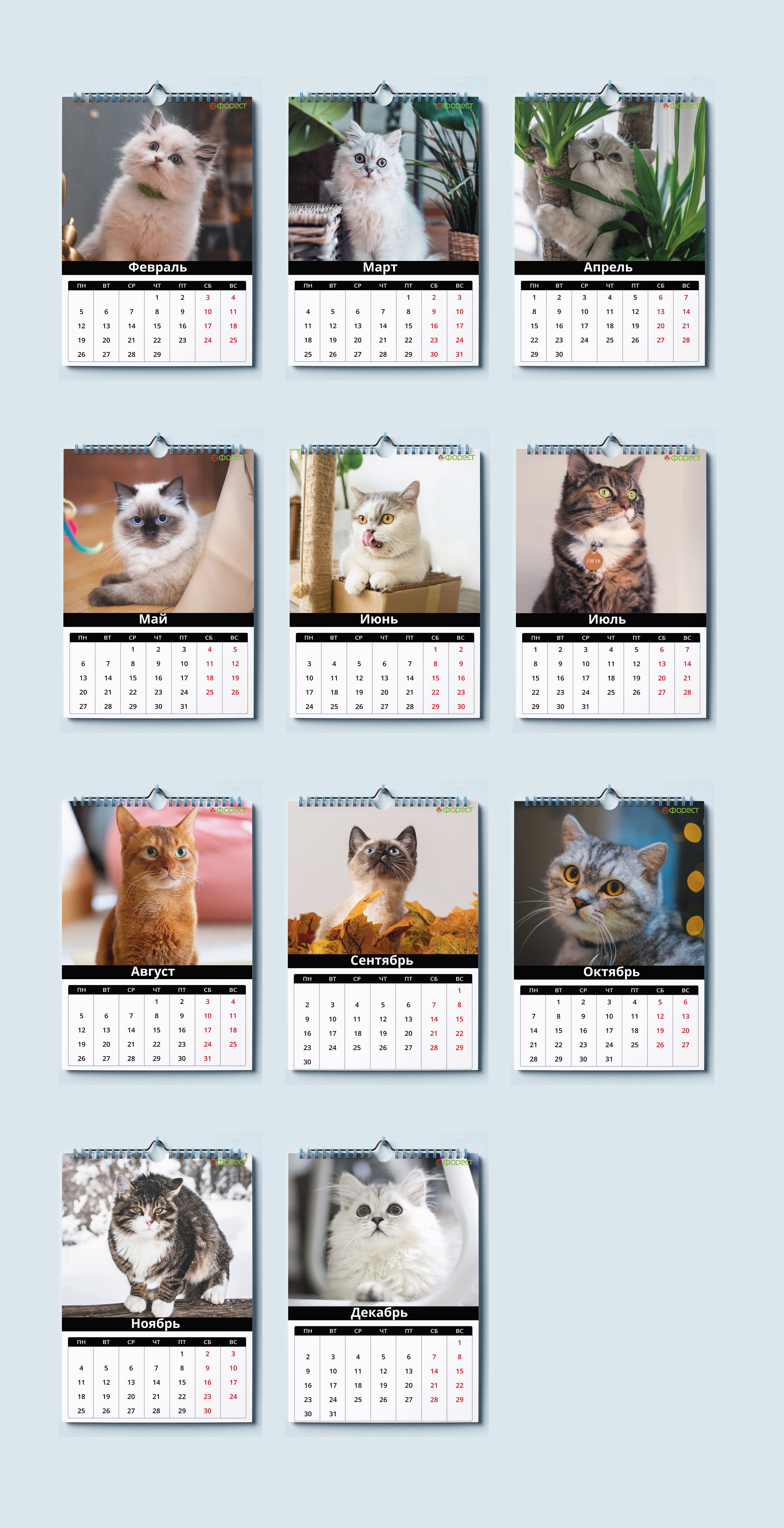 kalendar-2.jpg