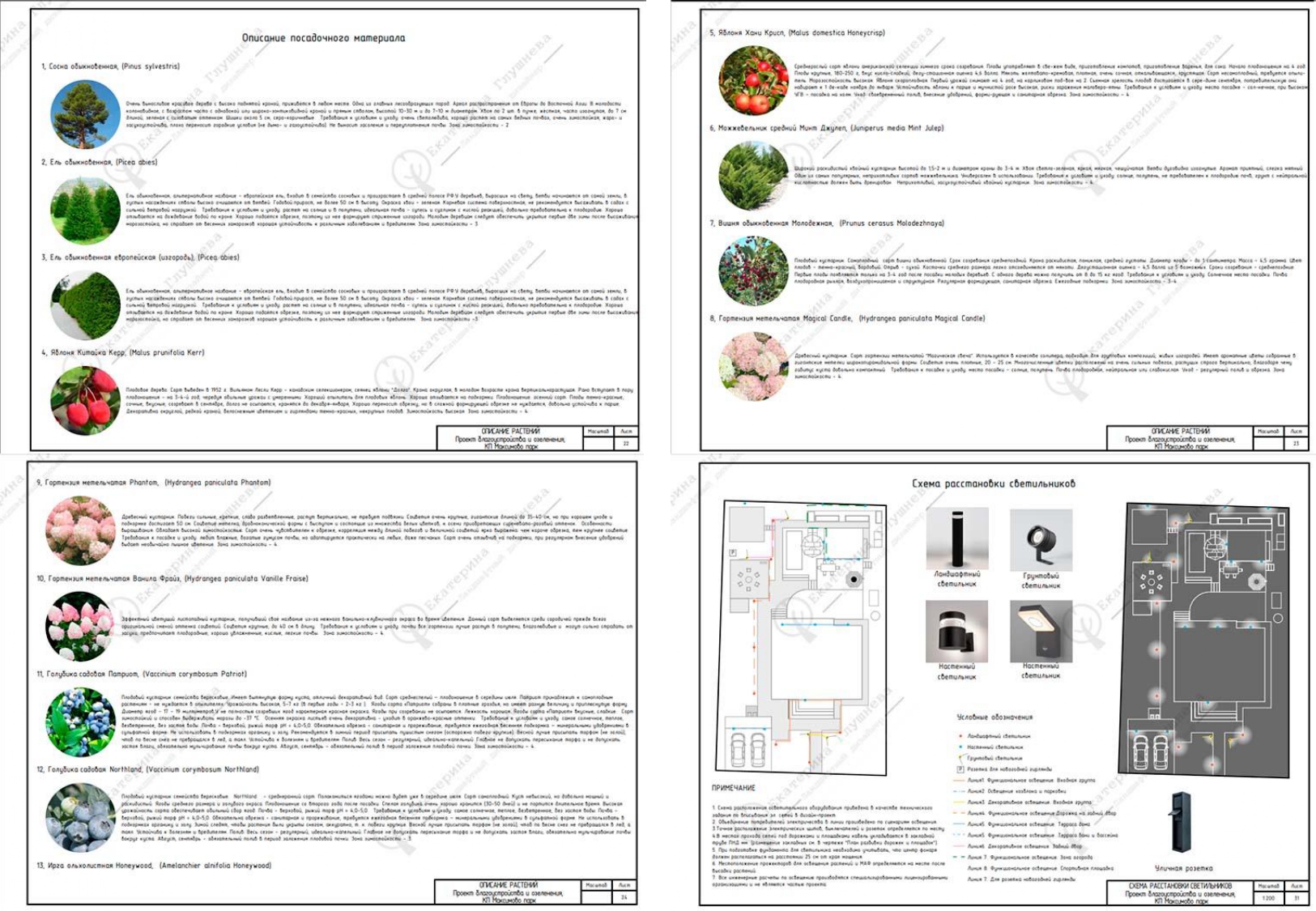 5_page-0001.jpg