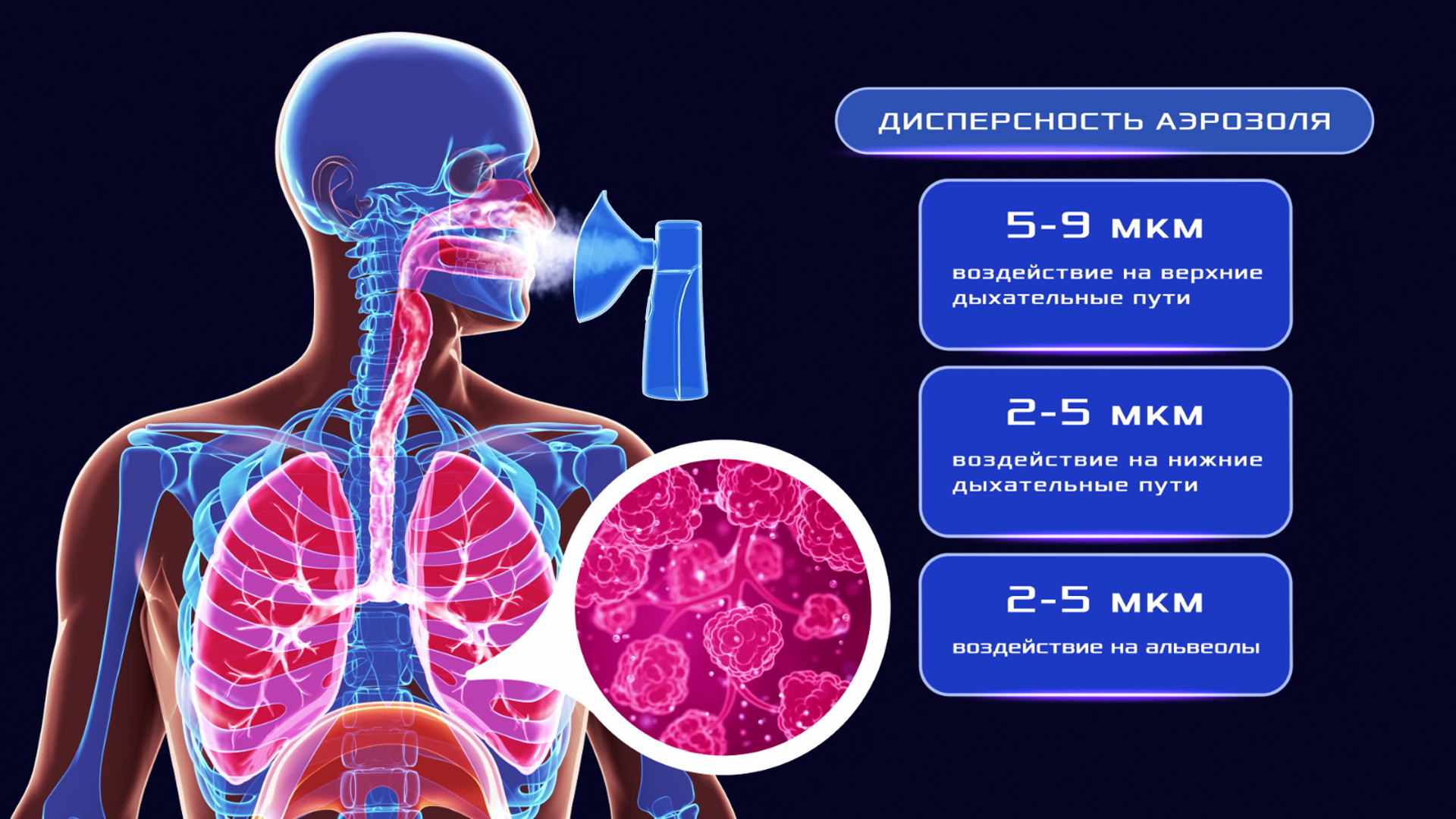 Анимационный ролик для промо-материалов «Аква Вита»