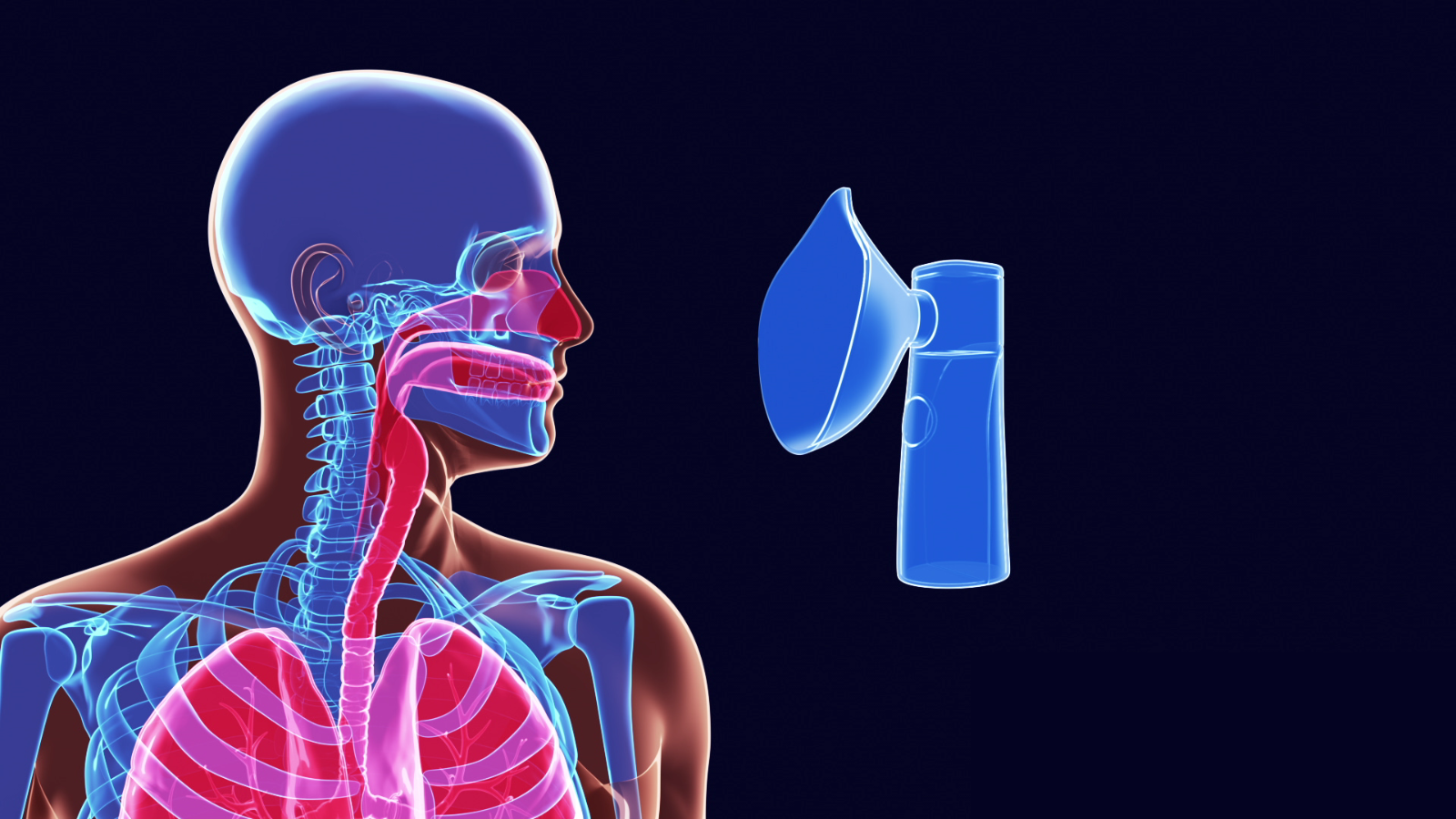 human body respiratory system animation 1600x900 frame preview 0