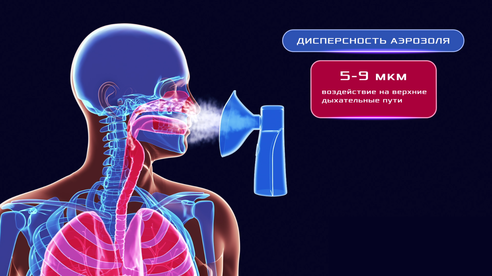 human body respiratory system animation 1600x900 frame preview 0