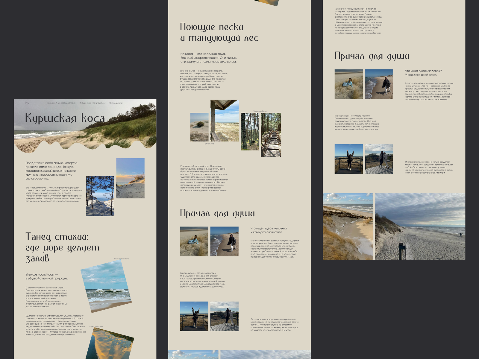 Dribbble shot HD - 11.png