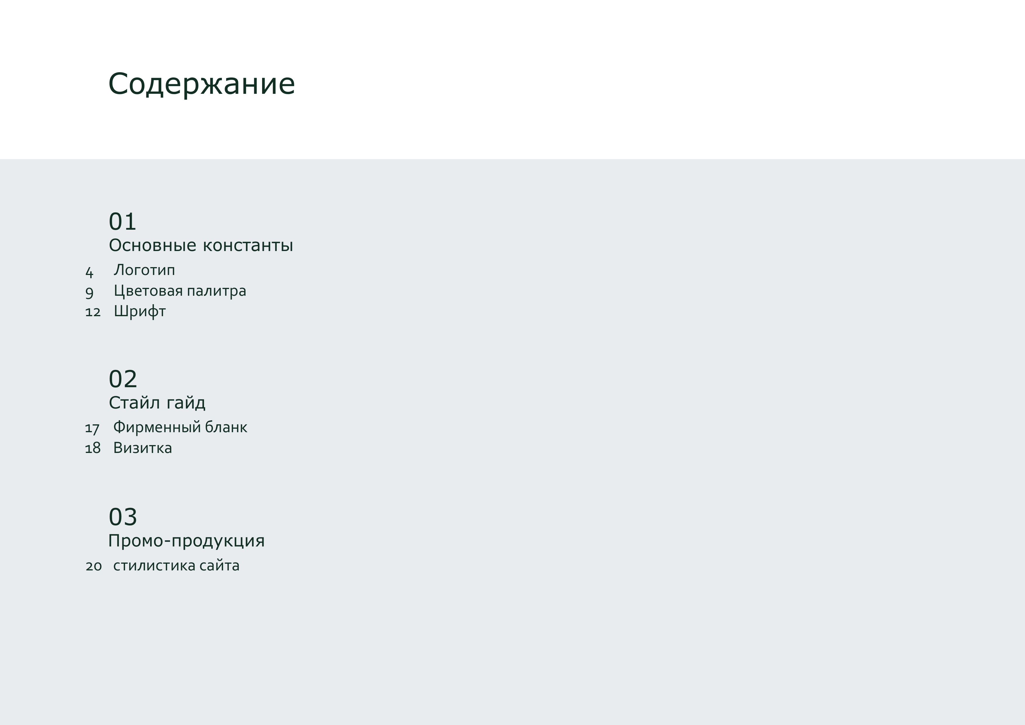 брендбук Polly_page-0002.jpg