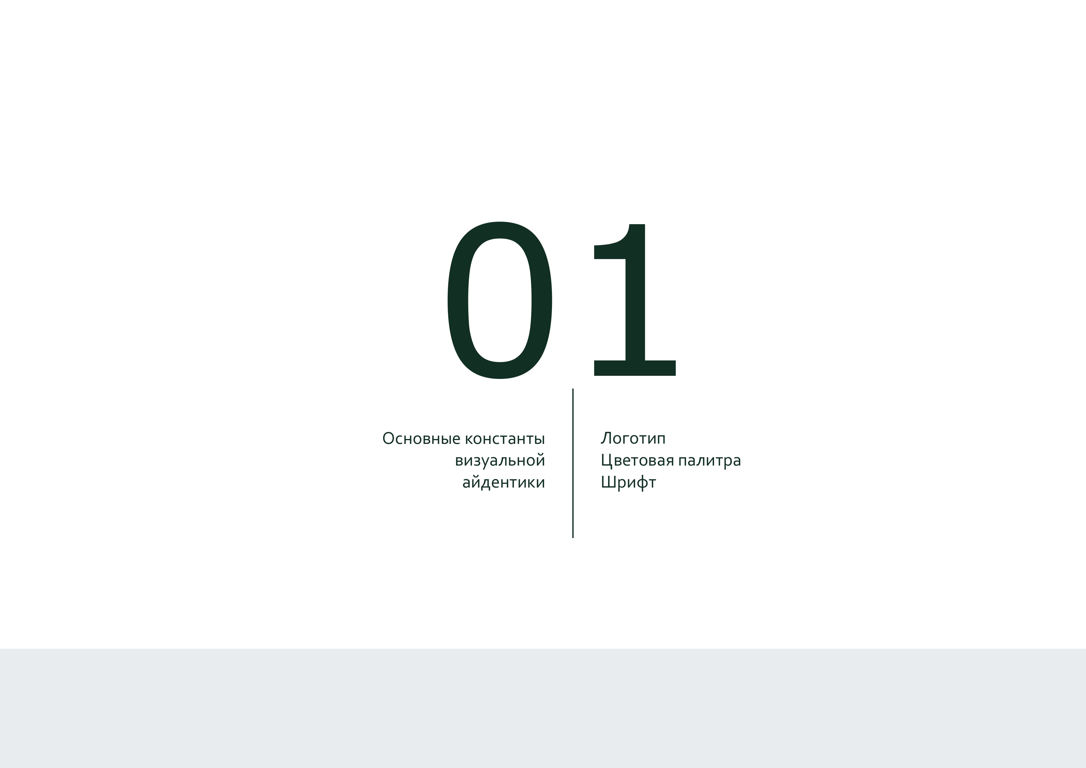 брендбук Polly_page-0003.jpg