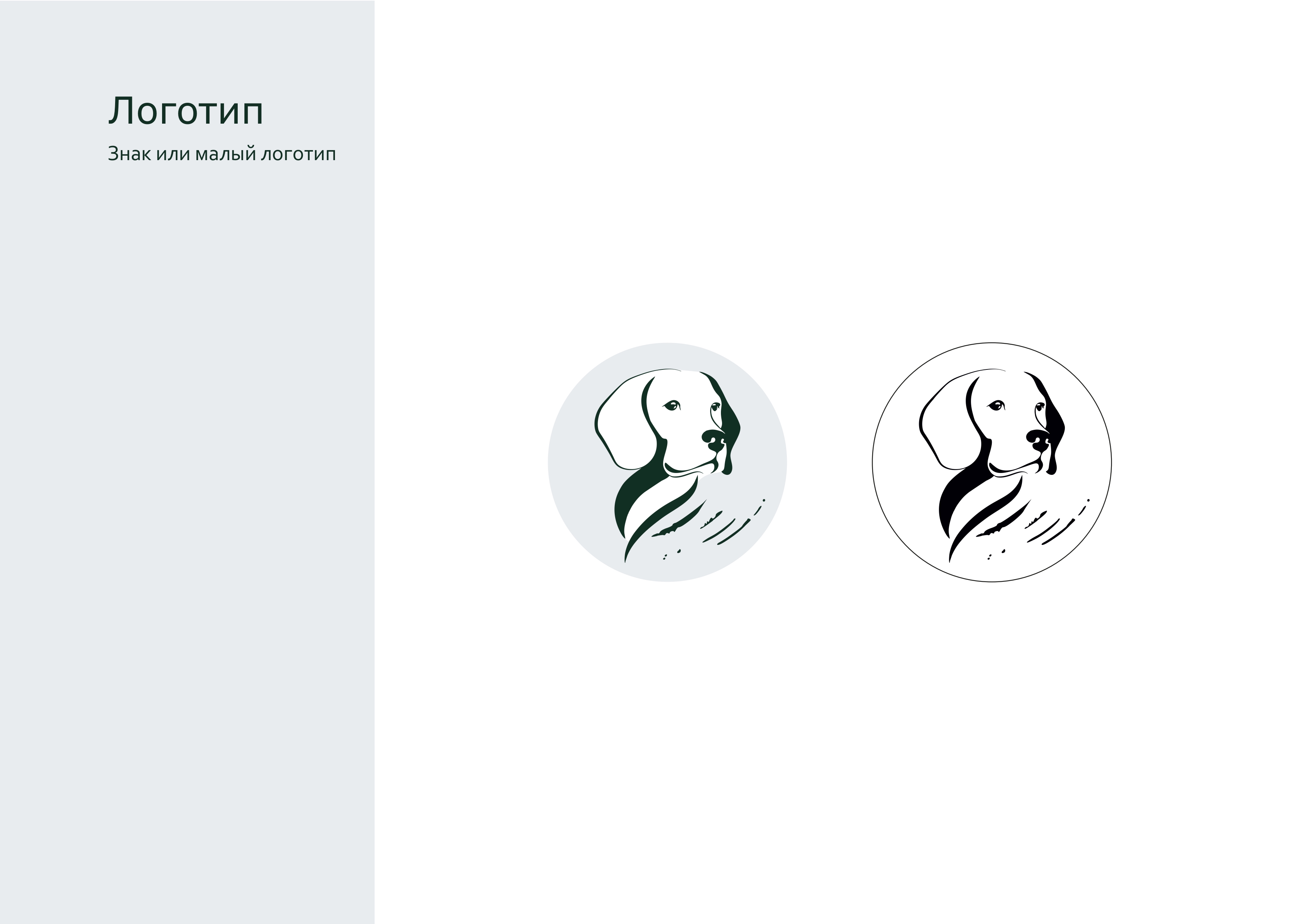 брендбук Polly_page-0005.jpg