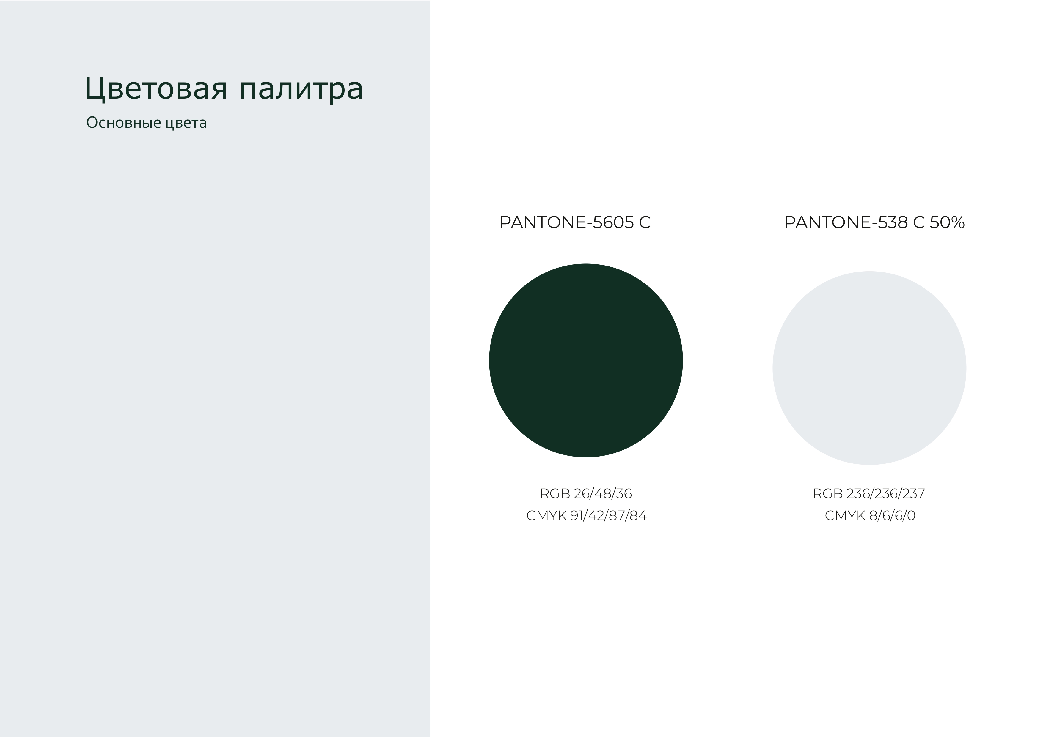 брендбук Polly_page-0009.jpg