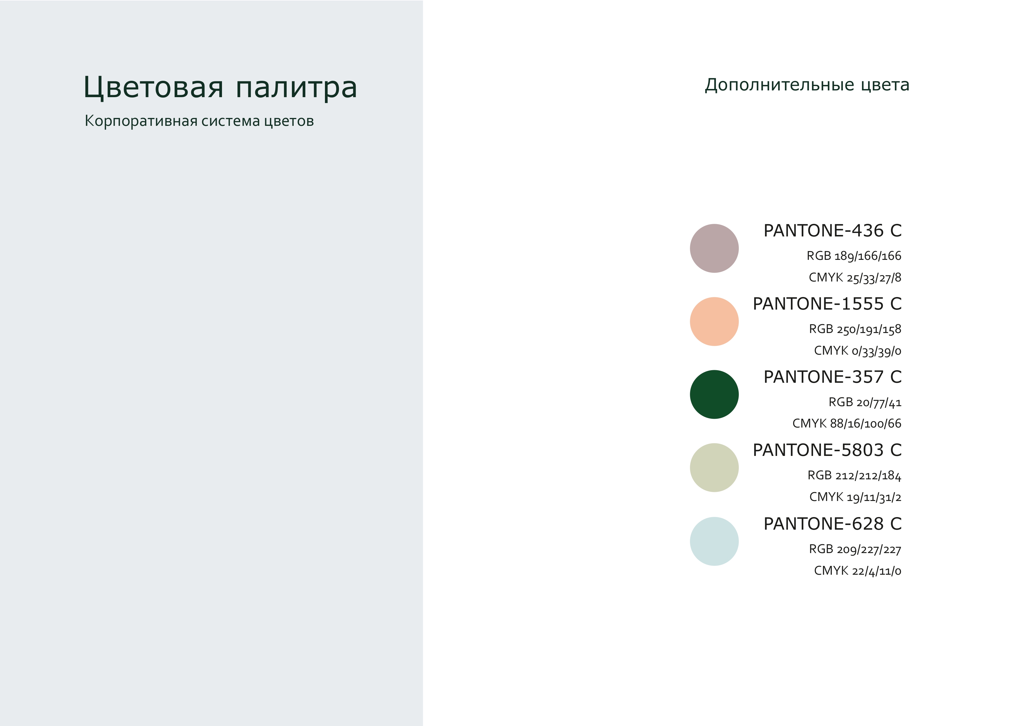 брендбук Polly_page-0010.jpg