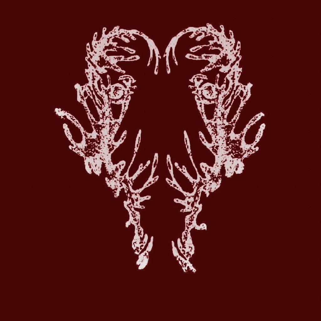 photo_5296476265986592937_y (3).jpg