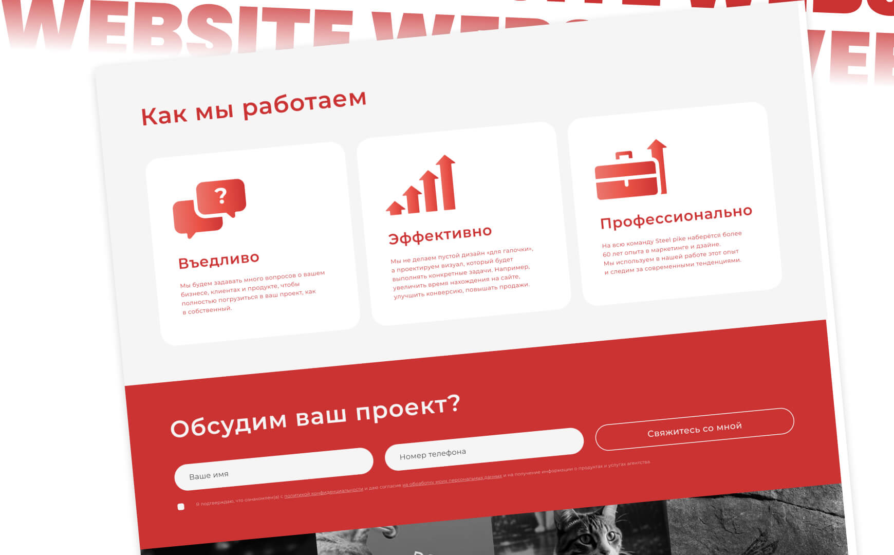 Steel pike_17 (2).jpg