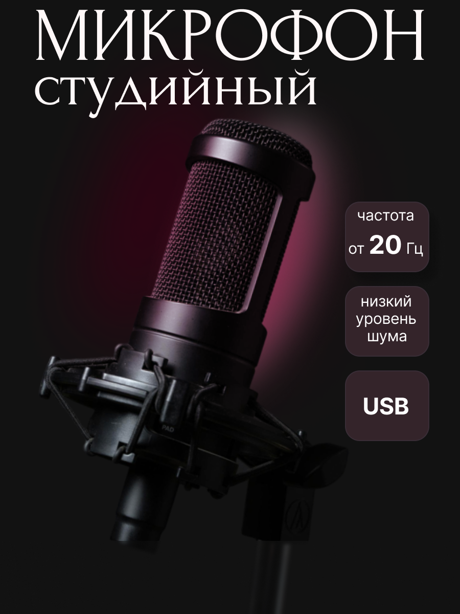 Микрофонвб.png