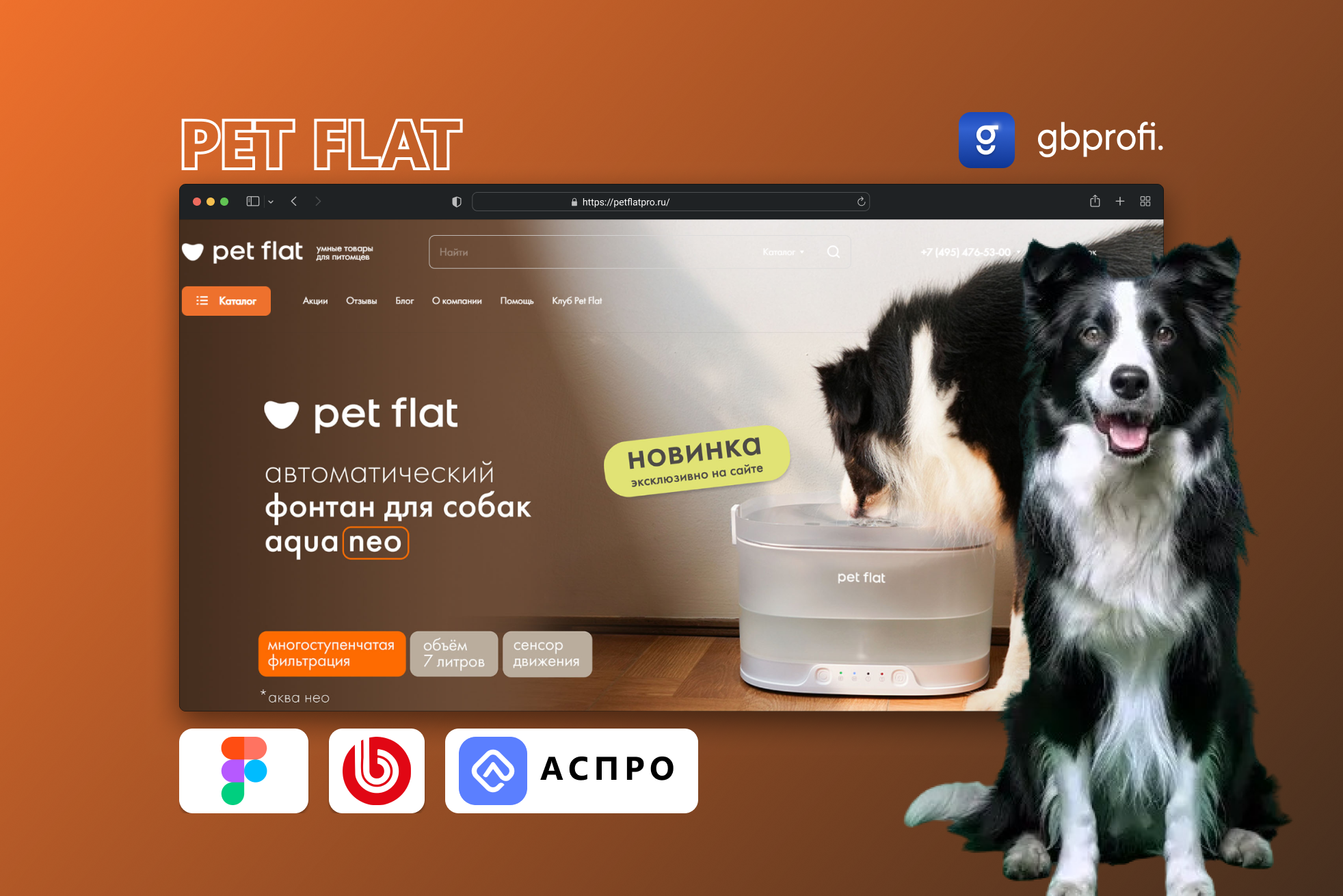 Разработка интернет-магазина Pet Flat с адаптивным интерфейсом и функционалом для продажи товаров для домашних питомцев.