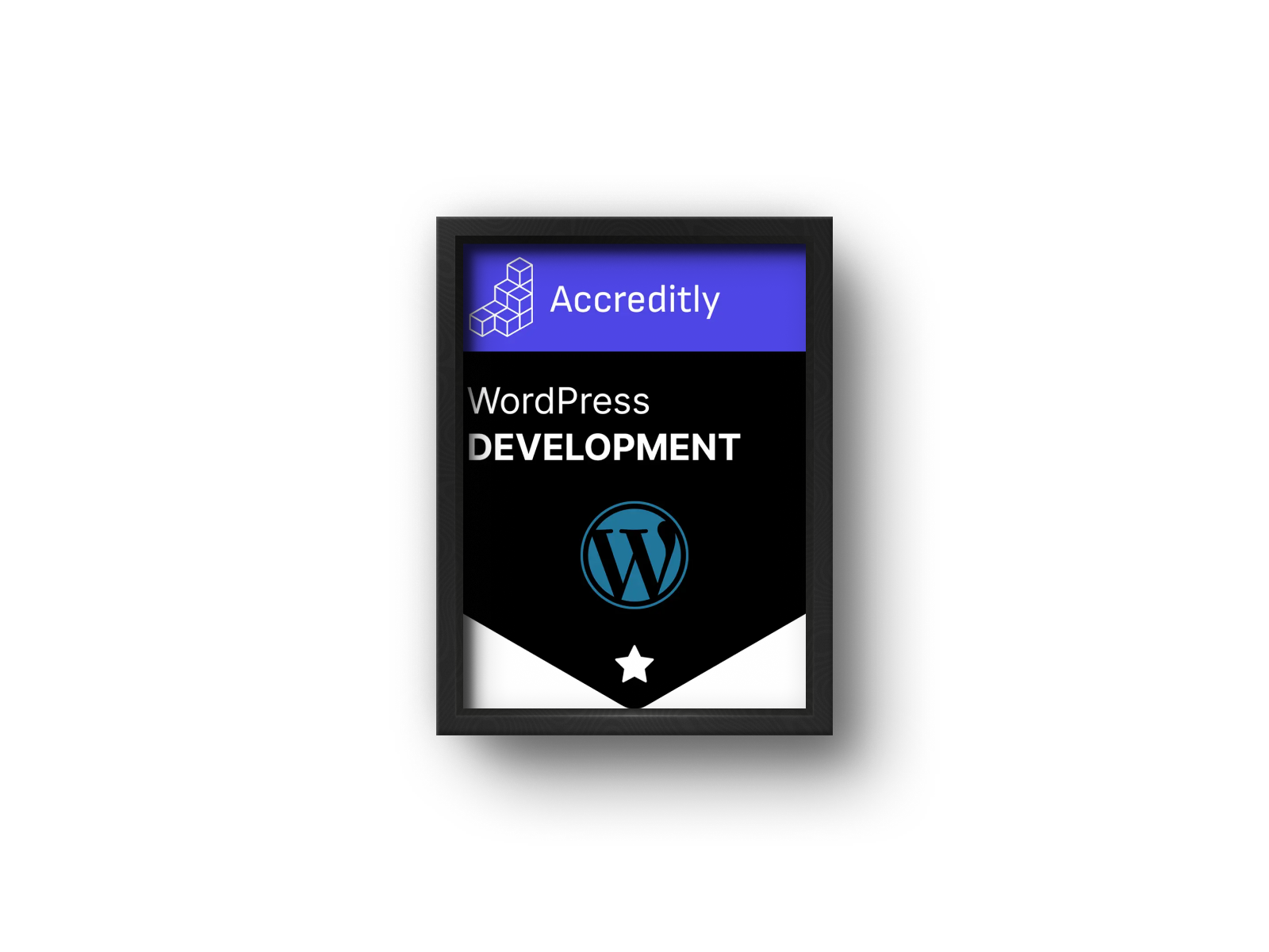 WordPress Development.png