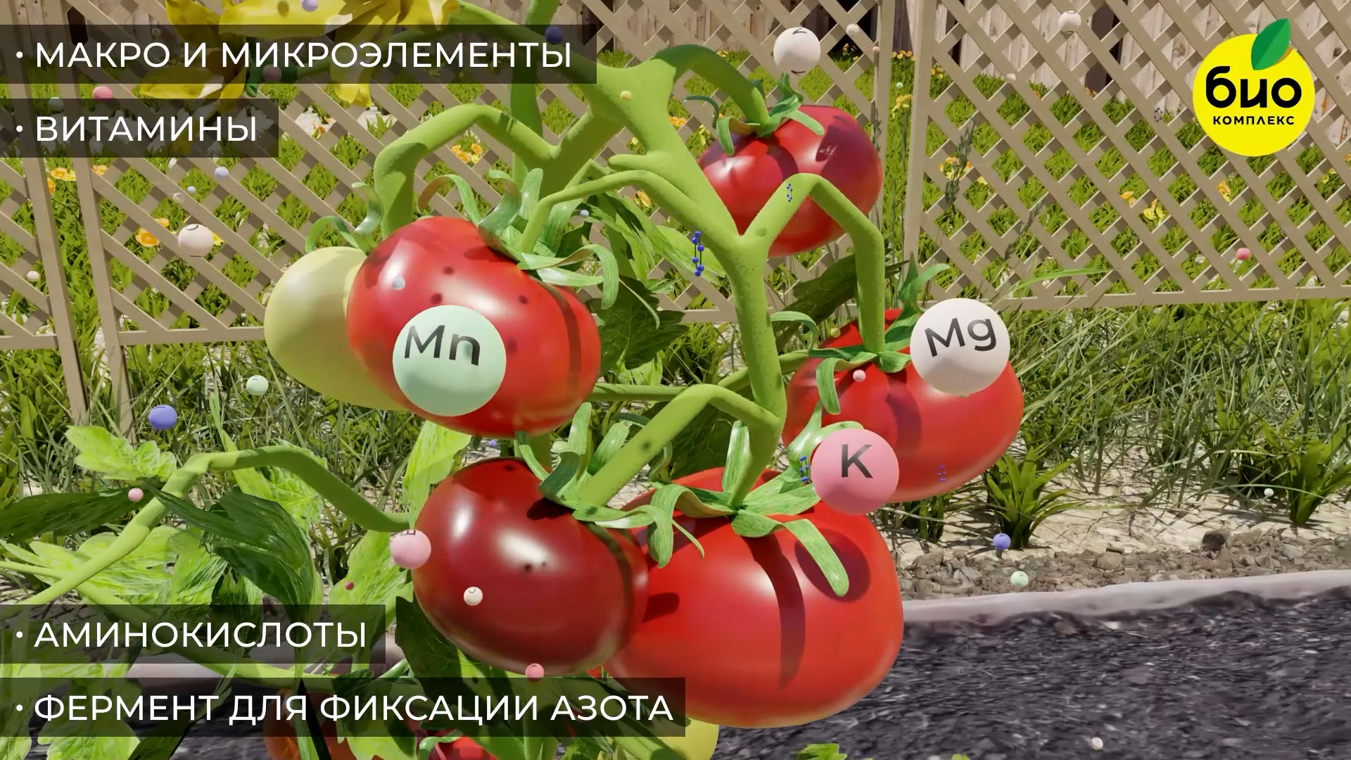 УДОБРЕНИЯ_СЪЕМКА.00_00_10_22.Still004.jpg
