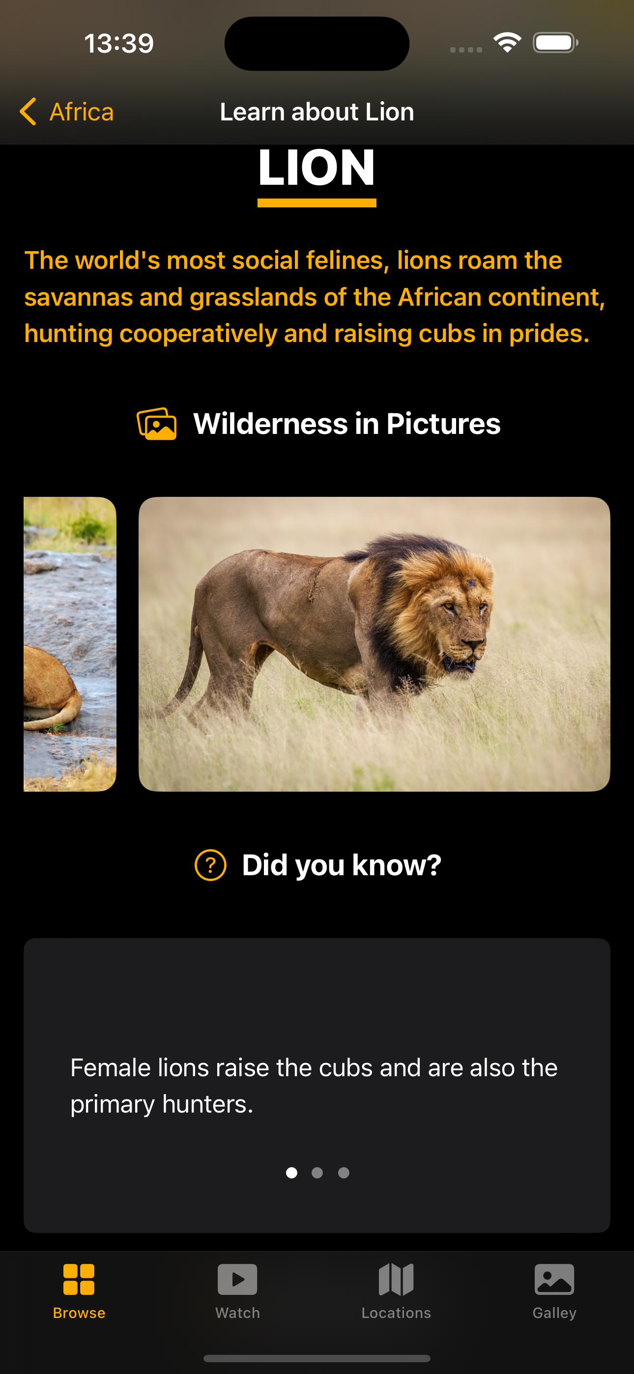 Simulator Screenshot - iPhone 15 Pro Max - 2025-12-02 at 13.39.0