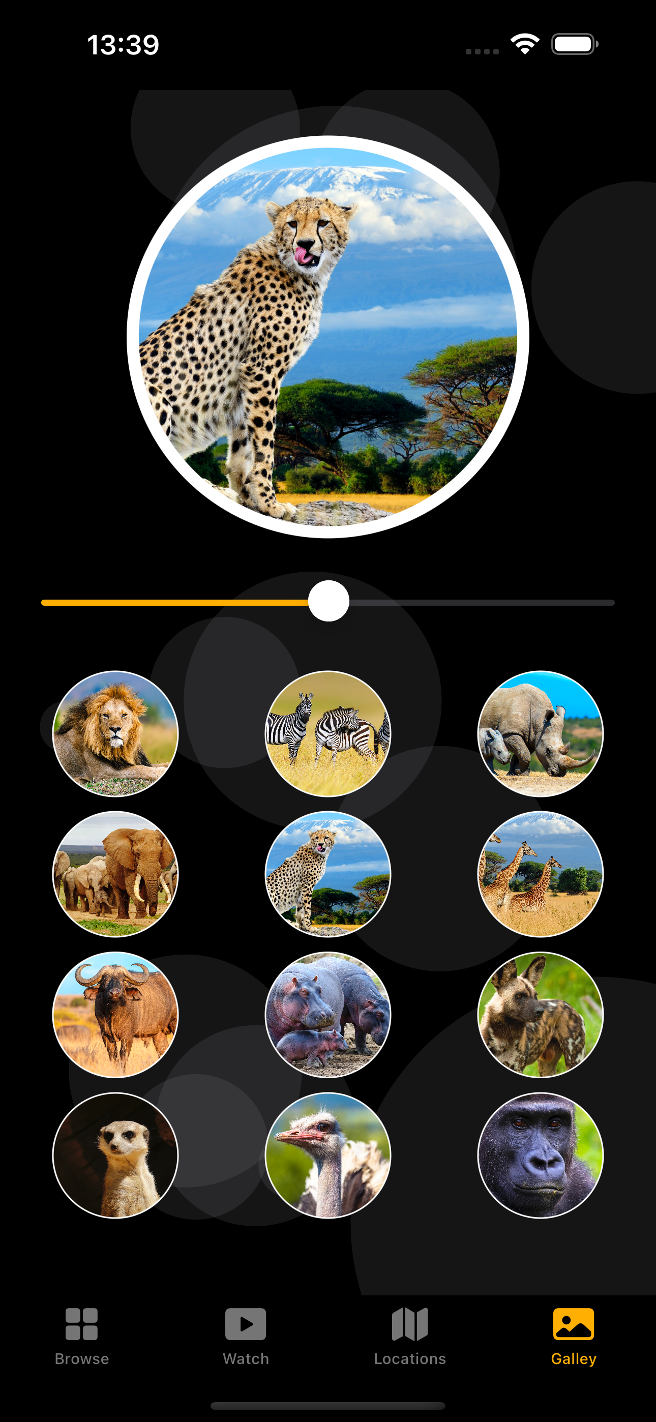 Simulator Screenshot - iPhone 15 Pro Max - 2025-12-02 at 13.39.5