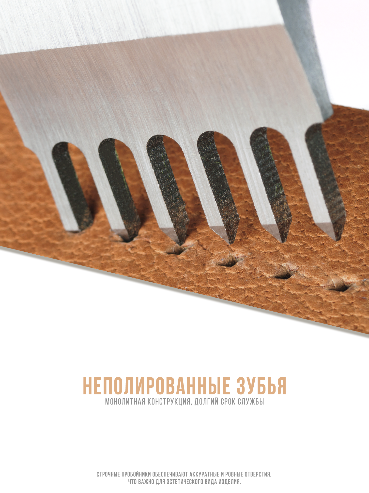 5ч копия.png