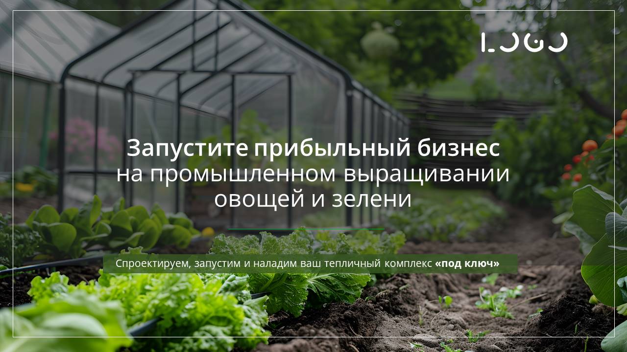 Слайд1.JPG