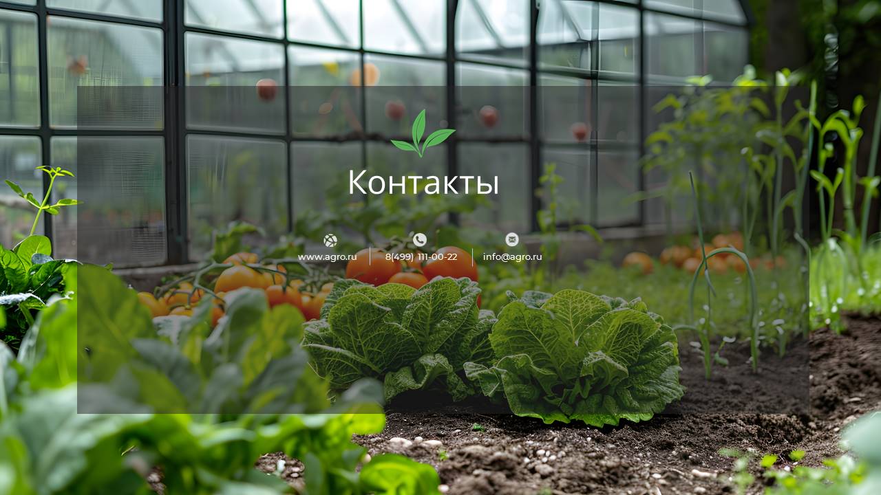 Слайд5.JPG