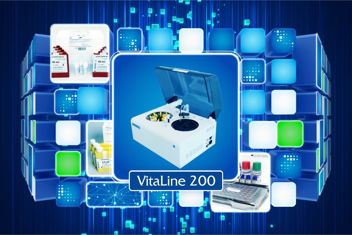 vital development screens preview 006.jpg