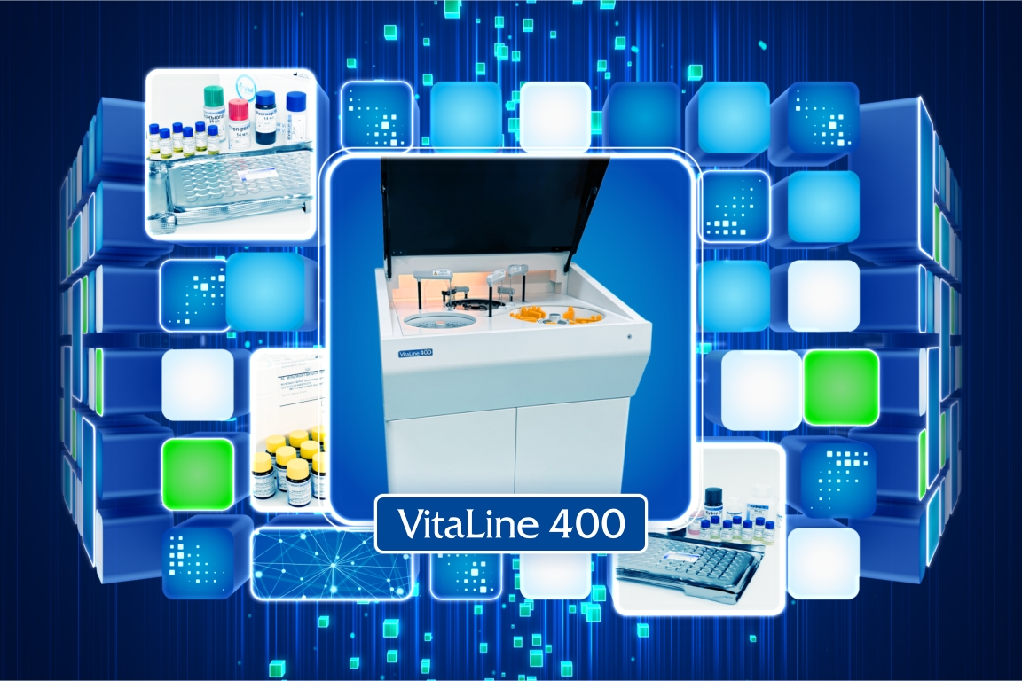 vital development screens preview 007.jpg