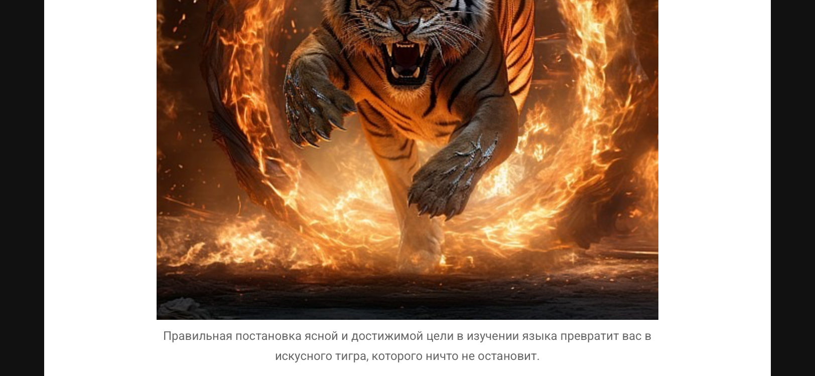IMG_5248.png