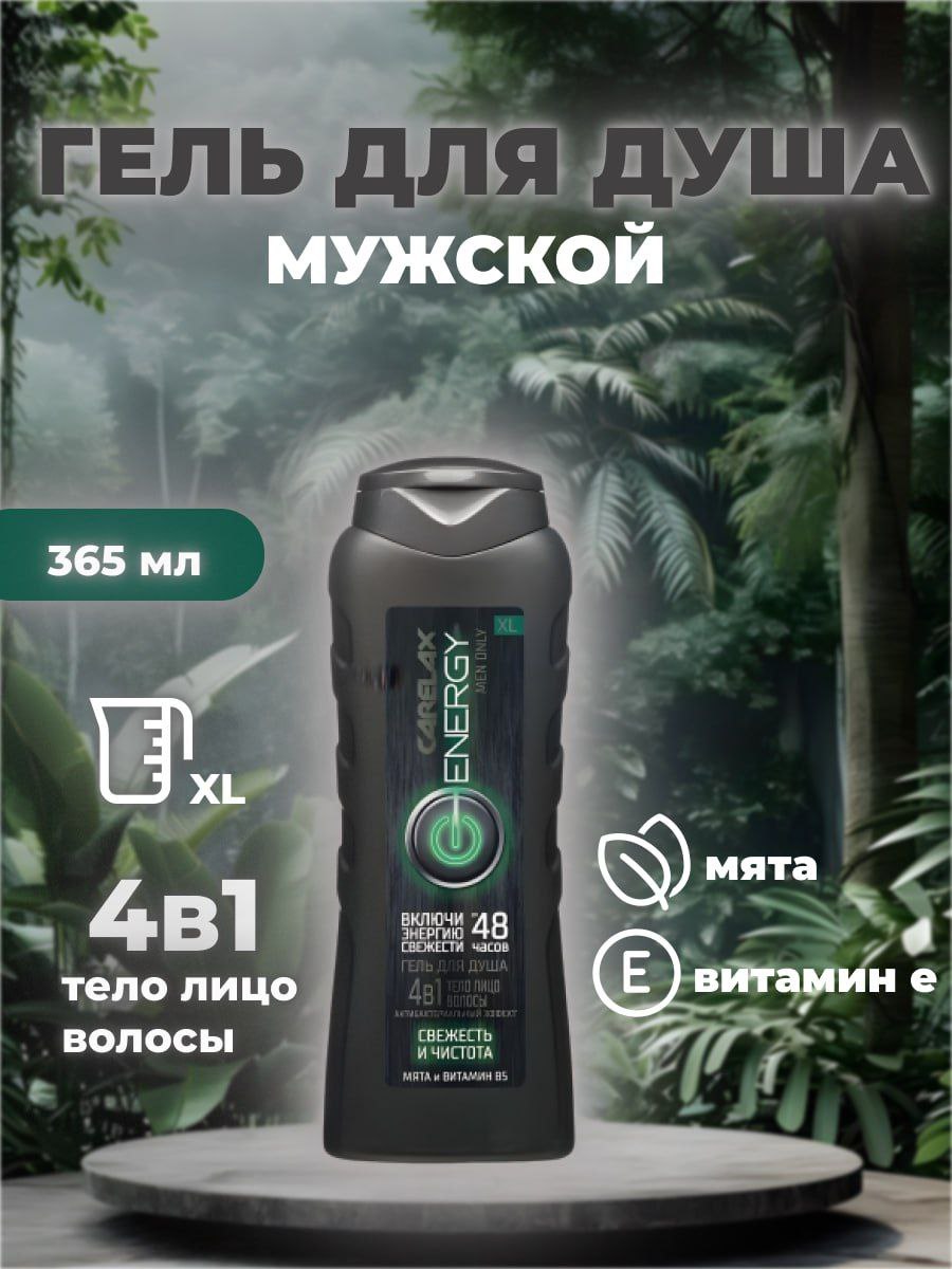 шнлгншл.jpg