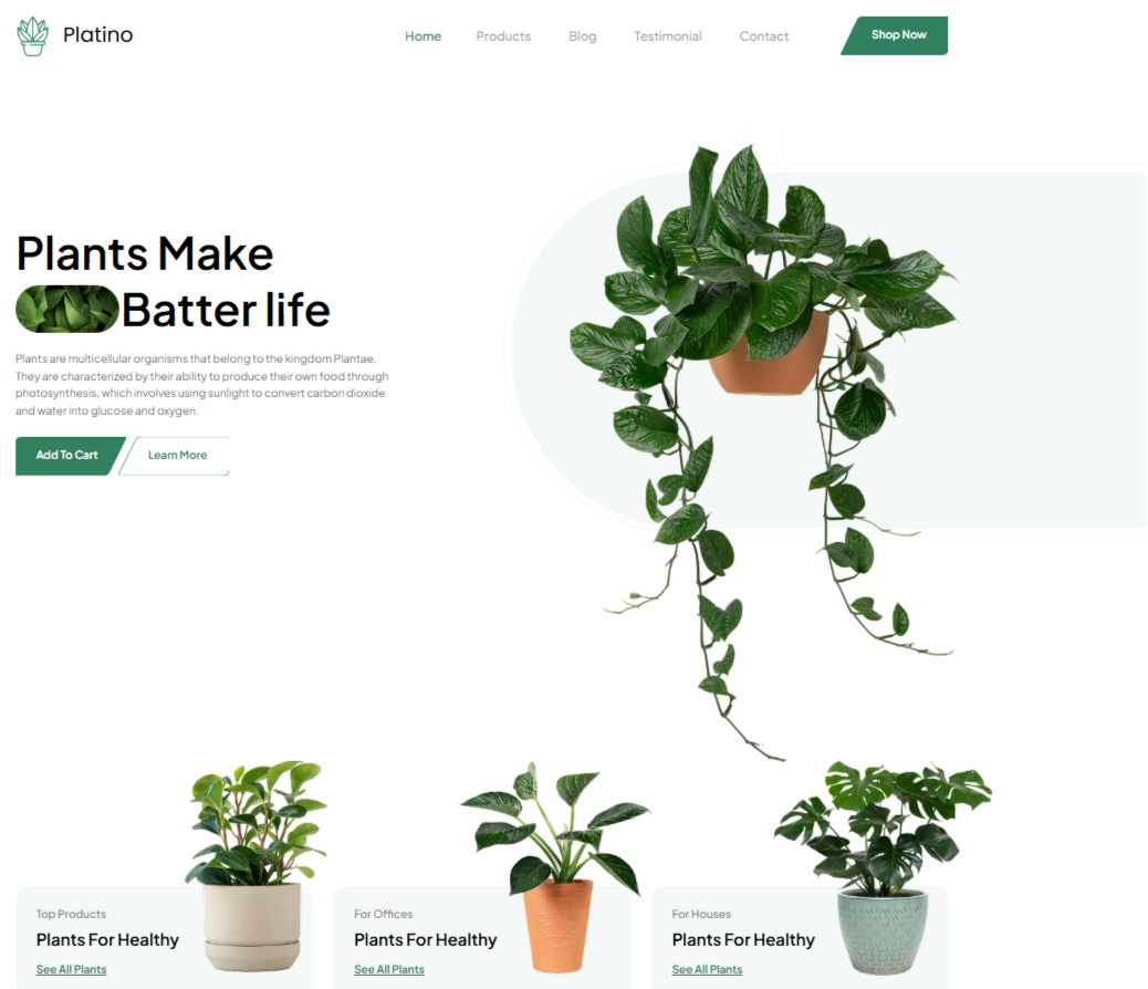 Интернет-магазин комнатных растений