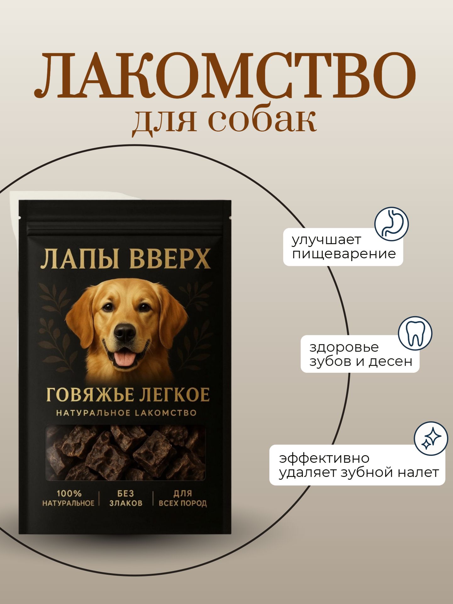 Infographics_24ai.tech (1).png