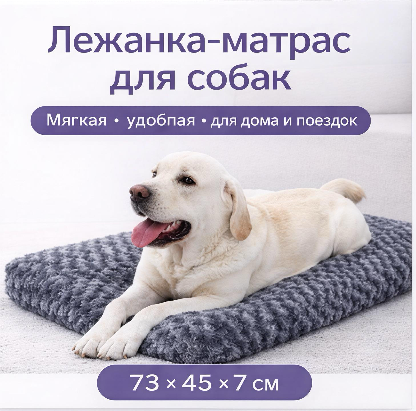 Без названия8_20251228115426.png