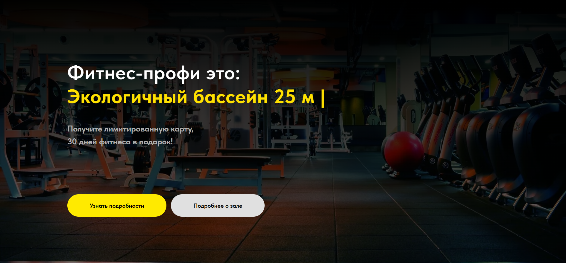 Лендинг для премиального фитнес-центра «Фитнес-профи»: привлечение клиентов через дизайн и четкую структуру.