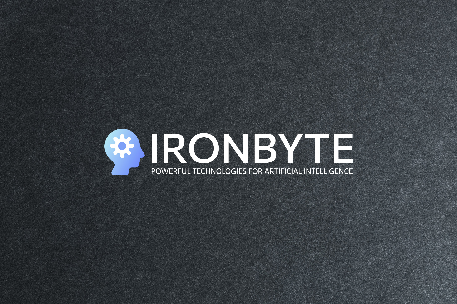 IronByte 2.jpg