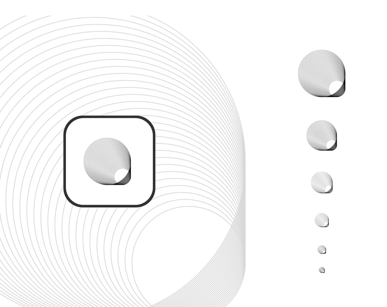 photo_2026-01-09_17-17-18 (3).jpg