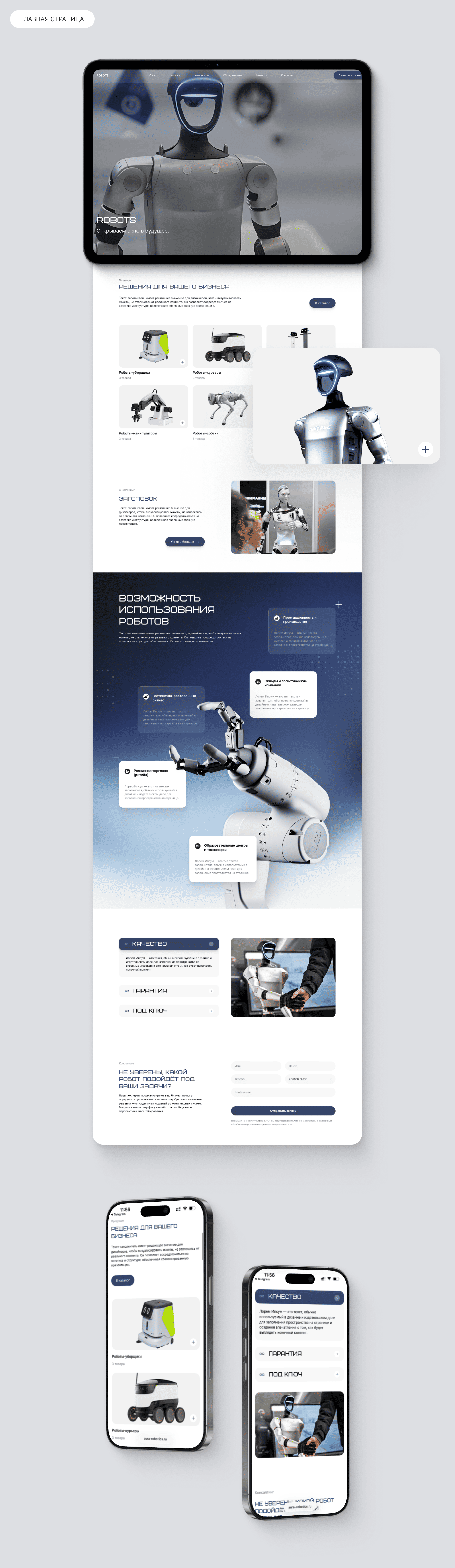 Роботы 2 (1).png
