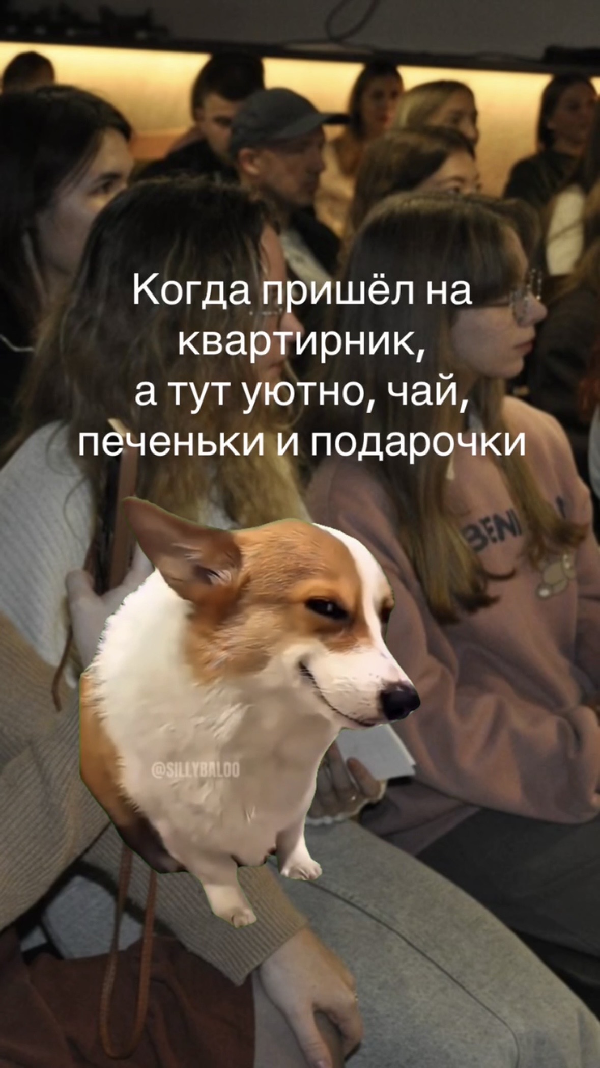 IMG_9559.jpeg