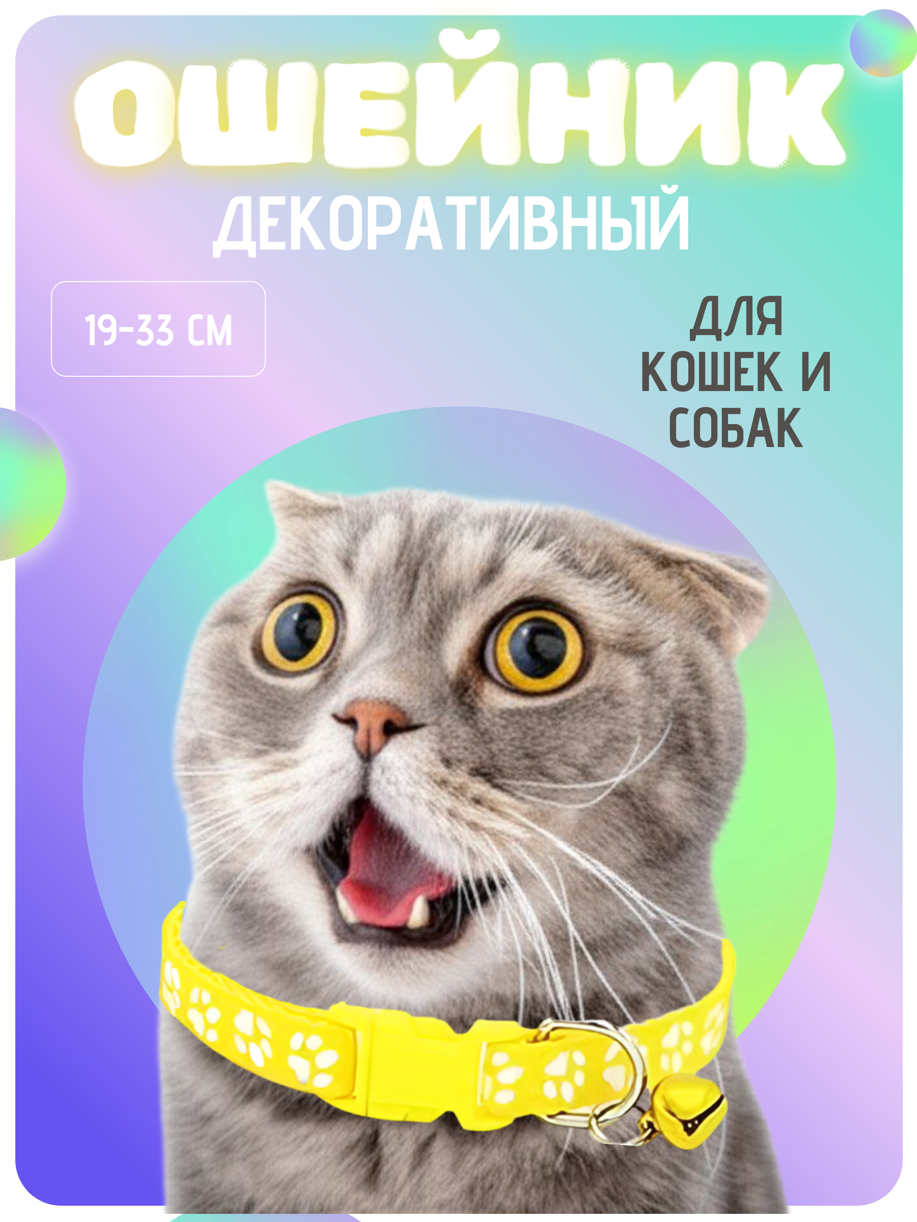 Ошейник (1).png