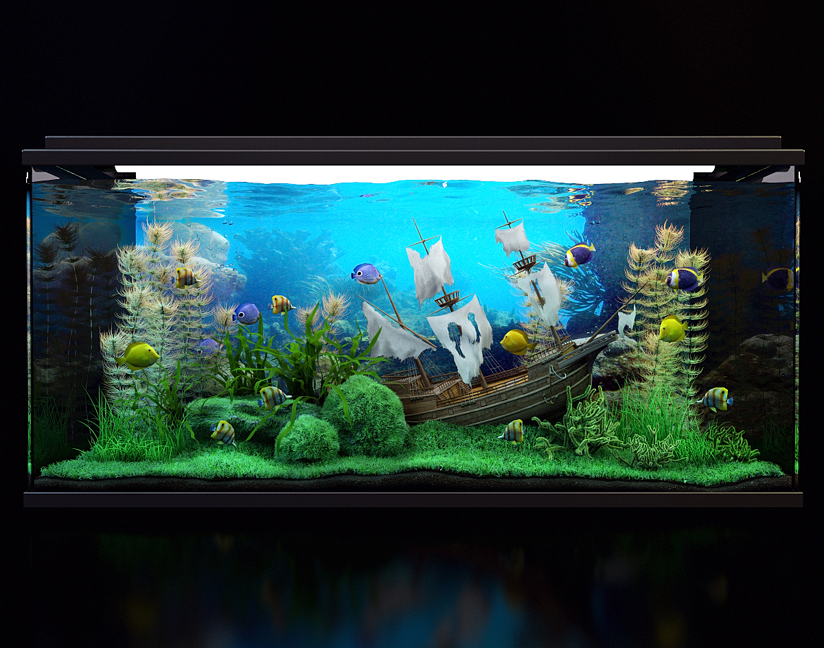 2012_Aquarium_Competition_1st_place_01.jpg