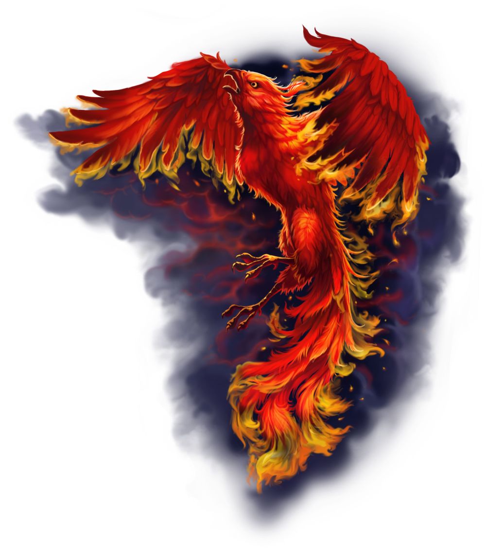 phoenix портфель.jpg