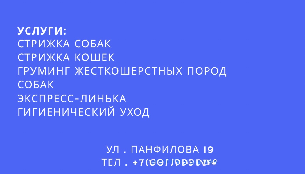 Пёса - 2.jpeg