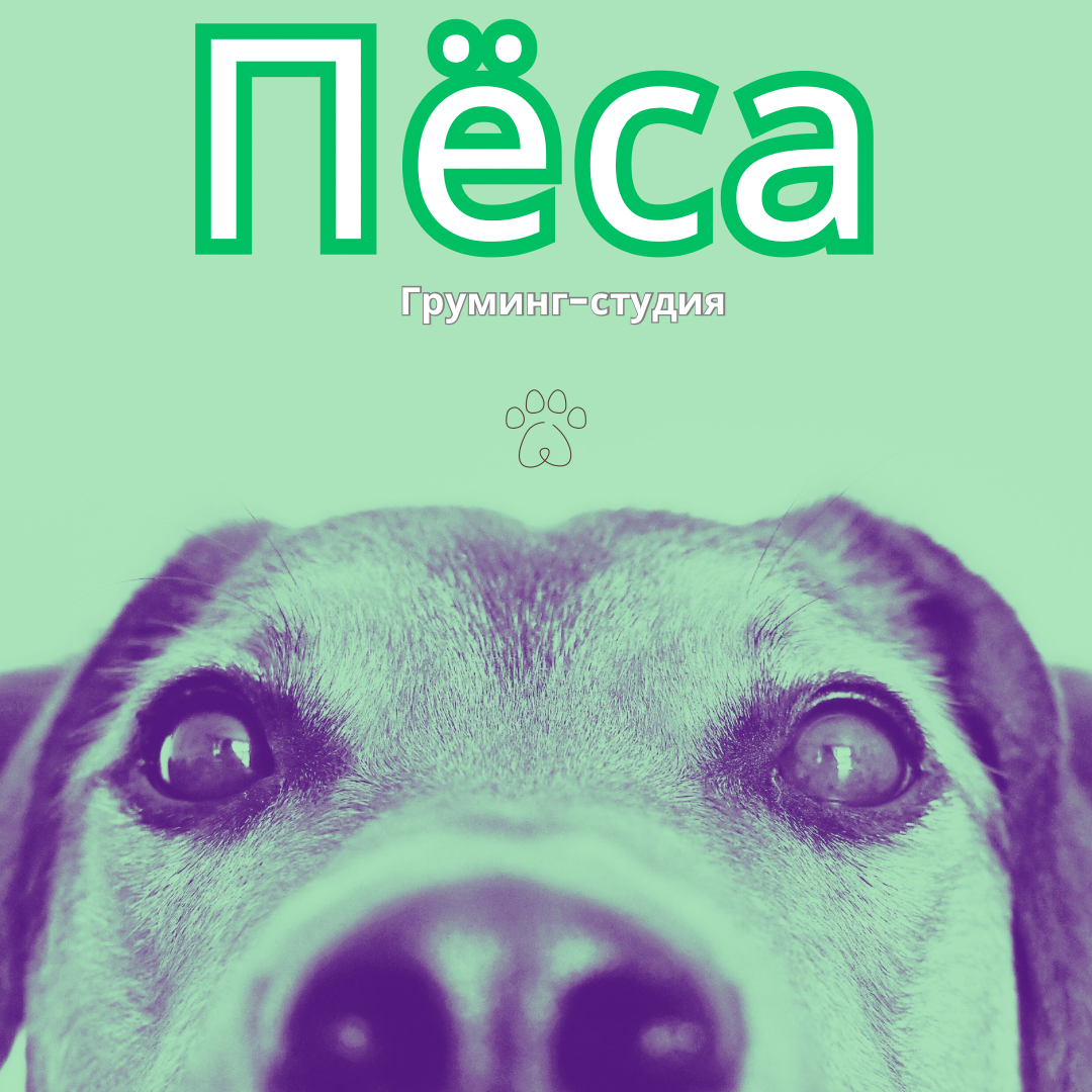 White Simple Pets Challenge Instagram Post.png