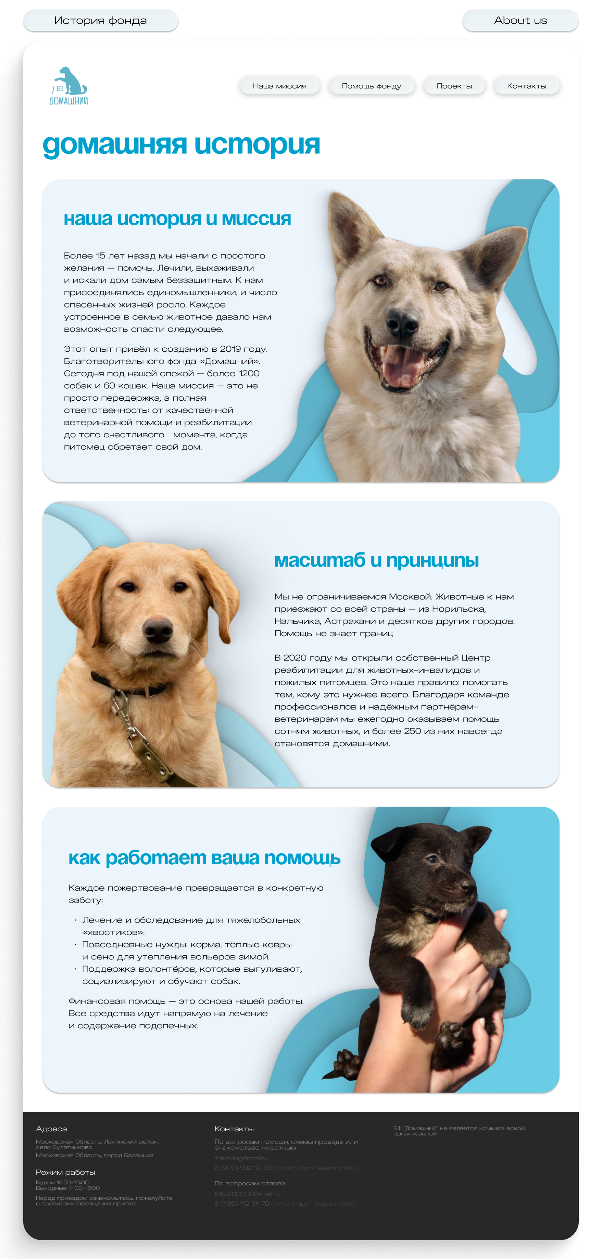 Домашняя история.png