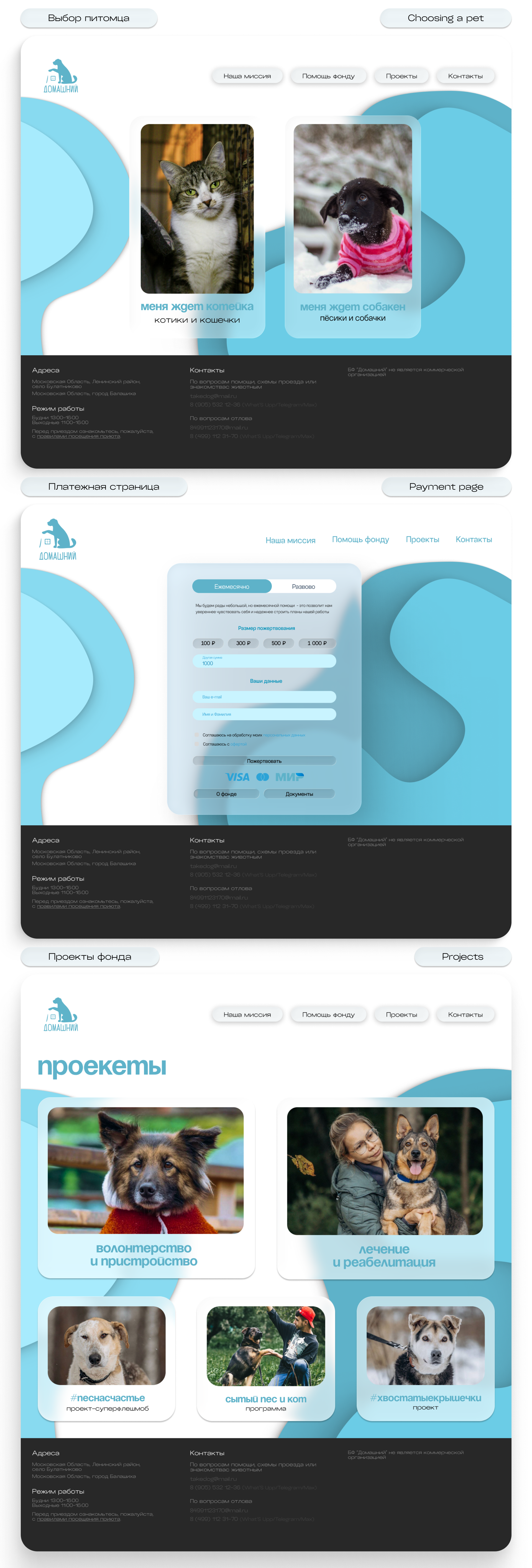 Выбор платеж и проекты.png