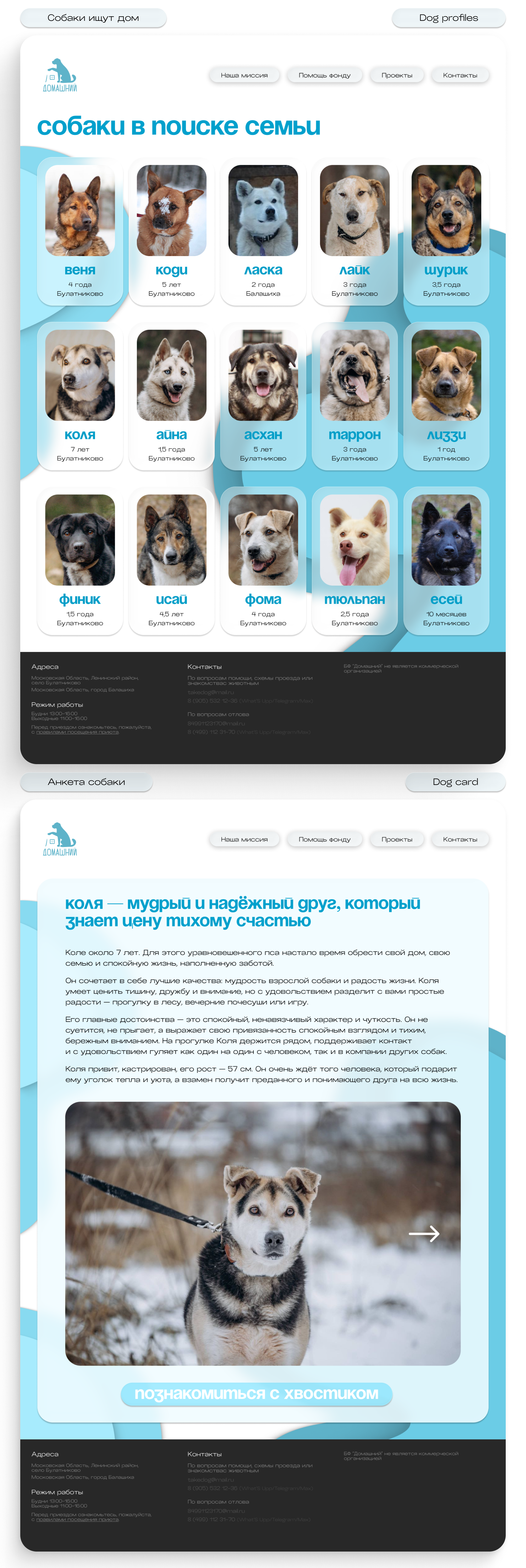 Выбор собак.png