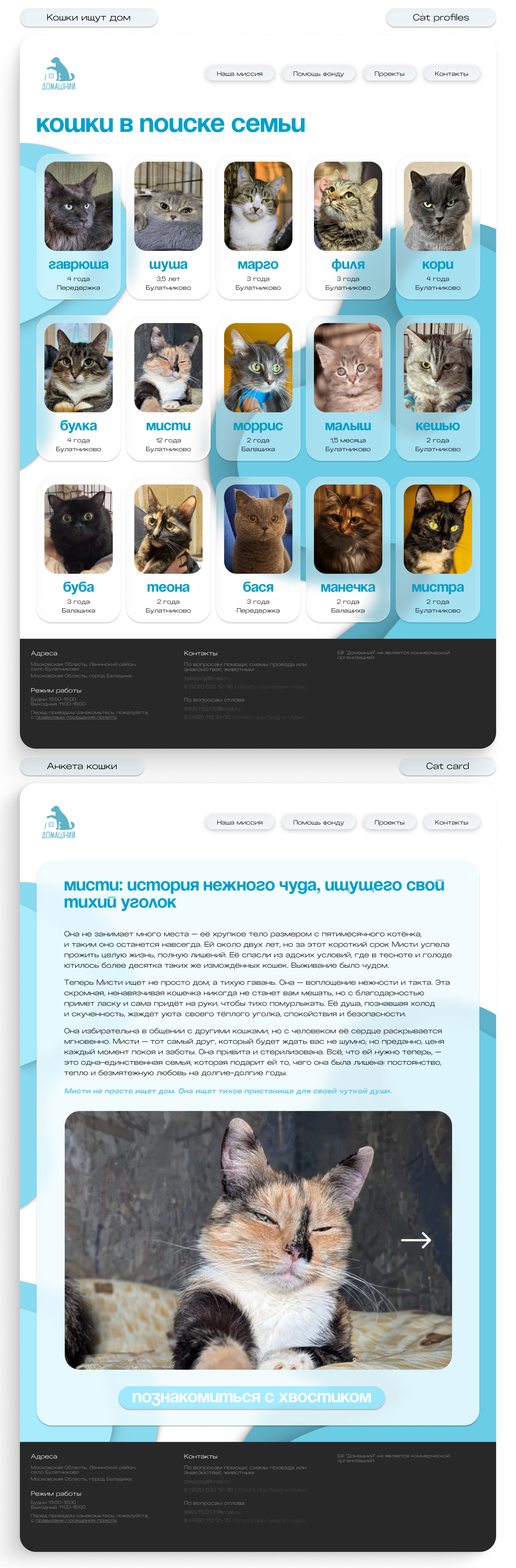 Выбор кошек.png