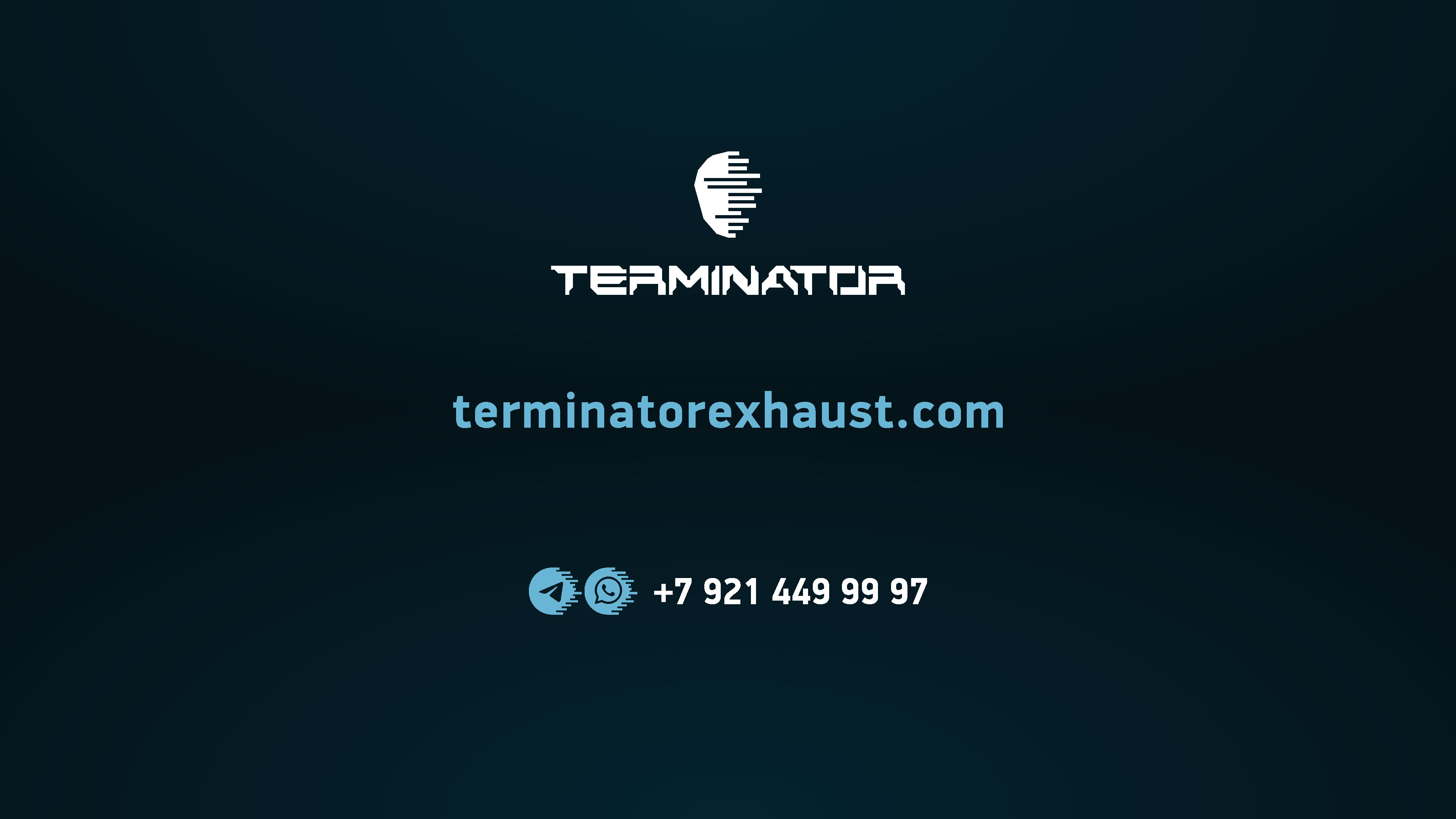 Terminator_Страница_10.jpg